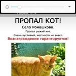 Подробнее об объявлении «Раменское Пропал кот» Фото: пропала кошка  «Раменское Пропал кот» в г. Раменское