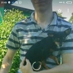 Подробнее об объявлении «Пропала собака в деревне ильинское волокаламском районе Волоколамск» Фото: пропала собака Той-терьер «Пропала собака в деревне ильинское...» в г. Волоколамск