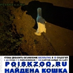 Подробнее об объявлении «Москва Найдена кошка или кот белый» Фото: найдена кошка  «Москва Найдена кошка или кот белый» в г. Москва