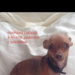 Подробнее об объявлении «Анапа Пропала собака» Фото: пропала собака Той-терьер «Анапа Пропала собака» в г. Анапа