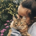 Подробнее об объявлении «Пропала кошка в коммунарке Москва» Фото: пропала кошка  «Пропала кошка в коммунарке Москва» в г. Москва