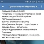 Подробнее об объявлении «Краснодар Пропала собака» Фото: пропала собака  «Краснодар Пропала собака» в г. Краснодар