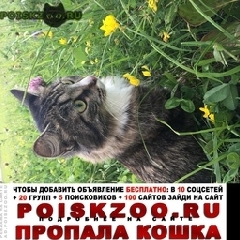 Подробнее об объявлении «Пропала кошка Москва» Фото: пропала кошка  «Пропала кошка Москва» в г. Москва