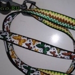 Подробнее об объявлении «Пропала собака -щенок беспородная черная Орехово-Зуево» Фото: пропала собака  «Пропала собака -щенок беспородная черная...» в г. Орехово-Зуево