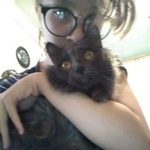 Подробнее об объявлении «Пропал кот Томск» Фото: пропала кошка  «Пропал кот Томск» в г. Томск