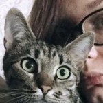 Подробнее об объявлении «Пропала кошка, район новогиреево Москва» Фото: пропала кошка  «Пропала кошка, район новогиреево Москва» в г. Москва