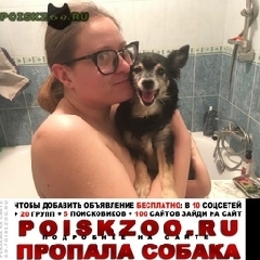 Подробнее об объявлении «Пропала собака Москва» Фото: пропала собака  «Пропала собака Москва» в г. Москва