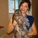 Подробнее об объявлении «Пропал кот Задонск» Фото: пропала кошка >  Скоттиш фолд (шотландская вислоухая) и  скоттиш страйт «Пропал кот Задонск» в г. Задонск