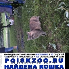 Подробнее об объявлении «Москва Найдена кошка кот или кошка вл. вяземская» Фото: найдена кошка  «Москва Найдена кошка кот или кошка вл. вяземская» в г. Москва