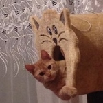 Подробнее об объявлении «Яшкино Пропал кот» Фото: пропала кошка  «Яшкино Пропал кот» в г. Яшкино