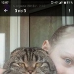Подробнее об объявлении «Пропал кот шотландец вислоухий Москва» Фото: пропала кошка Скоттиш фолд (шотландская вислоухая) «Пропал кот шотландец вислоухий Москва» в г. Москва
