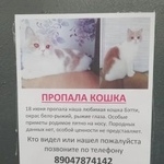 Подробнее об объявлении «Нижний Новгород Пропала кошка» Фото: пропала кошка  «Нижний Новгород Пропала кошка» в г. Нижний Новгород