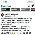 Подробнее об объявлении «Пропала собака овчарка метис Москва» Фото: пропала собака Немецкая овчарка «Пропала собака овчарка метис Москва» в г. Москва