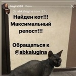 Подробнее об объявлении «Найден кот донской сфинкс. чёрный сжм Ростов-на-Дону» Фото: найдена кошка Донской сфинкс «Найден кот донской сфинкс. чёрный сжм...» в г. Ростов-на-Дону