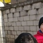 Подробнее об объявлении «Пропала собака кобель Новороссийск» Фото: пропала собака Лабрадор ретривер «Пропала собака кобель Новороссийск» в г. Новороссийск