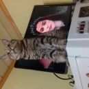 Подробнее об объявлении «Пропал кот Воскресенск» Фото: пропала кошка  «Пропал кот Воскресенск» в г. Воскресенск