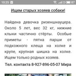 Подробнее об объявлении «Самара Найдена собака сука ризеншнауцера» Фото: найдена собака Ризеншнауцер «Самара Найдена собака сука ризеншнауцера» в г. Самара
