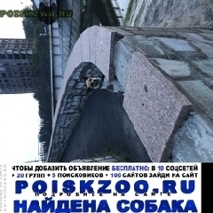 Подробнее об объявлении «Найдена собака Красноярск» Фото: найдена собака  «Найдена собака Красноярск» в г. Красноярск
