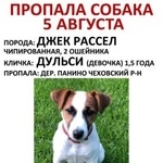 Подробнее об объявлении «Пропала собака Москва» Фото: пропала собака Джек рассел терьер «Пропала собака Москва» в г. Москва