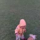 Подробнее об объявлении «Санкт-Петербург Пропала собака кобель» Фото: пропала собака  «Санкт-Петербург Пропала собака кобель» в г. Санкт-Петербург