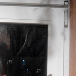 Подробнее об объявлении «Пропал кот Москва» Фото: пропала кошка Сибирская «Пропал кот Москва» в г. Москва