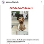 Подробнее об объявлении «Пропала собака Москва» Фото: пропала собака Йоркширский терьер «Пропала собака Москва» в г. Москва