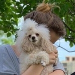 Подробнее об объявлении «Пропала собака Санкт-Петербург» Фото: пропала собака Пудель «Пропала собака Санкт-Петербург» в г. Санкт-Петербург