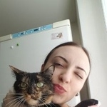 Подробнее об объявлении «Пропала кошка наша кошка мальта Тверь» Фото: пропала кошка  «Пропала кошка наша кошка мальта Тверь» в г. Тверь