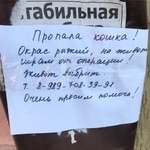 Подробнее об объявлении «Пропала кошка Ростов-на-Дону» Фото: пропала кошка  «Пропала кошка Ростов-на-Дону» в г. Ростов-на-Дону