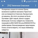 Подробнее об объявлении «Пропала кошка Котельнич» Фото: пропала кошка  «Пропала кошка Котельнич» в г. Котельнич