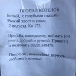 Подробнее об объявлении «Пропала кошка Ростов-на-Дону» Фото: пропала кошка  «Пропала кошка Ростов-на-Дону» в г. Ростов-на-Дону