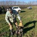 Подробнее об объявлении «Анапа Пропала собака дратхаар» Фото: пропала собака Дратхаар «Анапа Пропала собака дратхаар» в г. Анапа