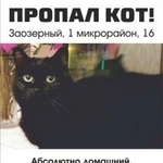 Подробнее об объявлении «Курган Пропала кошка» Фото: пропала кошка  «Курган Пропала кошка» в г. Курган