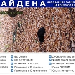 Подробнее об объявлении «Москва Найдена кошка черная» Фото: найдена кошка  «Москва Найдена кошка черная» в г. Москва