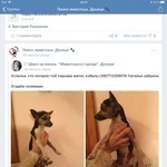 Подробнее об объявлении «Матвеев Курган Найдена собака кобель» Фото: найдена собака Той-терьер «Матвеев Курган Найдена собака кобель» в г. Матвеев Курган