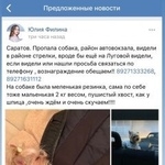 Подробнее об объявлении «Пропала собака йорк Саратов» Фото: пропала собака Йоркширский терьер «Пропала собака йорк Саратов» в г. Саратов