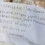 Подробнее об объявлении «Владивосток Пропал кот» Фото: пропала кошка  «Владивосток Пропал кот» в г. Владивосток