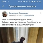 Подробнее об объявлении «Иркутск Пропала собака кобель той пудель» Фото: пропала собака Пудель «Иркутск Пропала собака кобель той пудель» в г. Иркутск