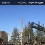 Подробнее об объявлении «Пропала собака Луга» Фото: пропала собака  «Пропала собака Луга» в г. Луга