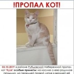 Подробнее об объявлении «Москва Пропал кот» Фото: пропала кошка  «Москва Пропал кот» в г. Москва