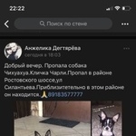 Подробнее об объявлении «Краснодар Пропала собака кобель за вознаграждения» Фото: пропала собака Чихуахуа «Краснодар Пропала собака кобель за вознаграждения» в г. Краснодар
