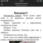 Подробнее об объявлении «Пропала кошка Томск» Фото: пропала кошка  «Пропала кошка Томск» в г. Томск