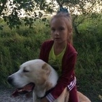 Подробнее об объявлении «Курган Пропала собака» Фото: пропала собака  «Курган Пропала собака» в г. Курган