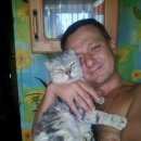 Подробнее об объявлении «Найдена кошка Москва» Фото: найдена кошка Шотландская вислоухая «Найдена кошка Москва» в г. Москва