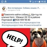 Подробнее об объявлении «Пропала собака кобель пожалуйста верните Ростов-на-Дону» Фото: пропала собака Ши-тцу «Пропала собака кобель пожалуйста верните...» в г. Ростов-на-Дону