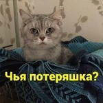 Подробнее об объявлении «Найдена кошка Ростов-на-Дону» Фото: найдена кошка Британская короткошерстная «Найдена кошка Ростов-на-Дону» в г. Ростов-на-Дону