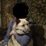 Подробнее об объявлении «Курган Пропала собака» Фото: пропала собака  «Курган Пропала собака» в г. Курган