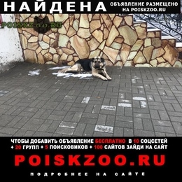 Подробнее об объявлении «Найдена собака Тверь» Фото: найдена собака Немецкая овчарка «Найдена собака Тверь» в г. Тверь