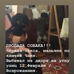 Подробнее об объявлении «Ростов-на-Дону Пропала собака кобель» Фото: пропала собака Такса «Ростов-на-Дону Пропала собака кобель» в г. Ростов-на-Дону
