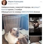 Подробнее об объявлении «Найдена кошка Ростов-на-Дону» Фото: найдена кошка Сиамская «Найдена кошка Ростов-на-Дону» в г. Ростов-на-Дону